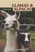 Vorderes Coverbild Llamas and Alpacas