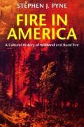 Vorderes Coverbild Fire in America