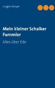 Vorderes Coverbild Mein kleiner Schalker Fummler