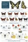 Vorderes Coverbild Guide to the butterflies of Britain and Ireland