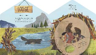 Beispielinhalt (Bild) Animal Homes