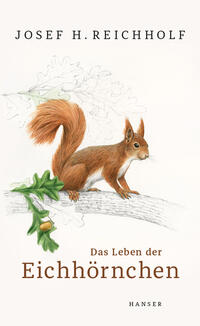 Vorderes Coverbild Das Leben der Eichhörnchen