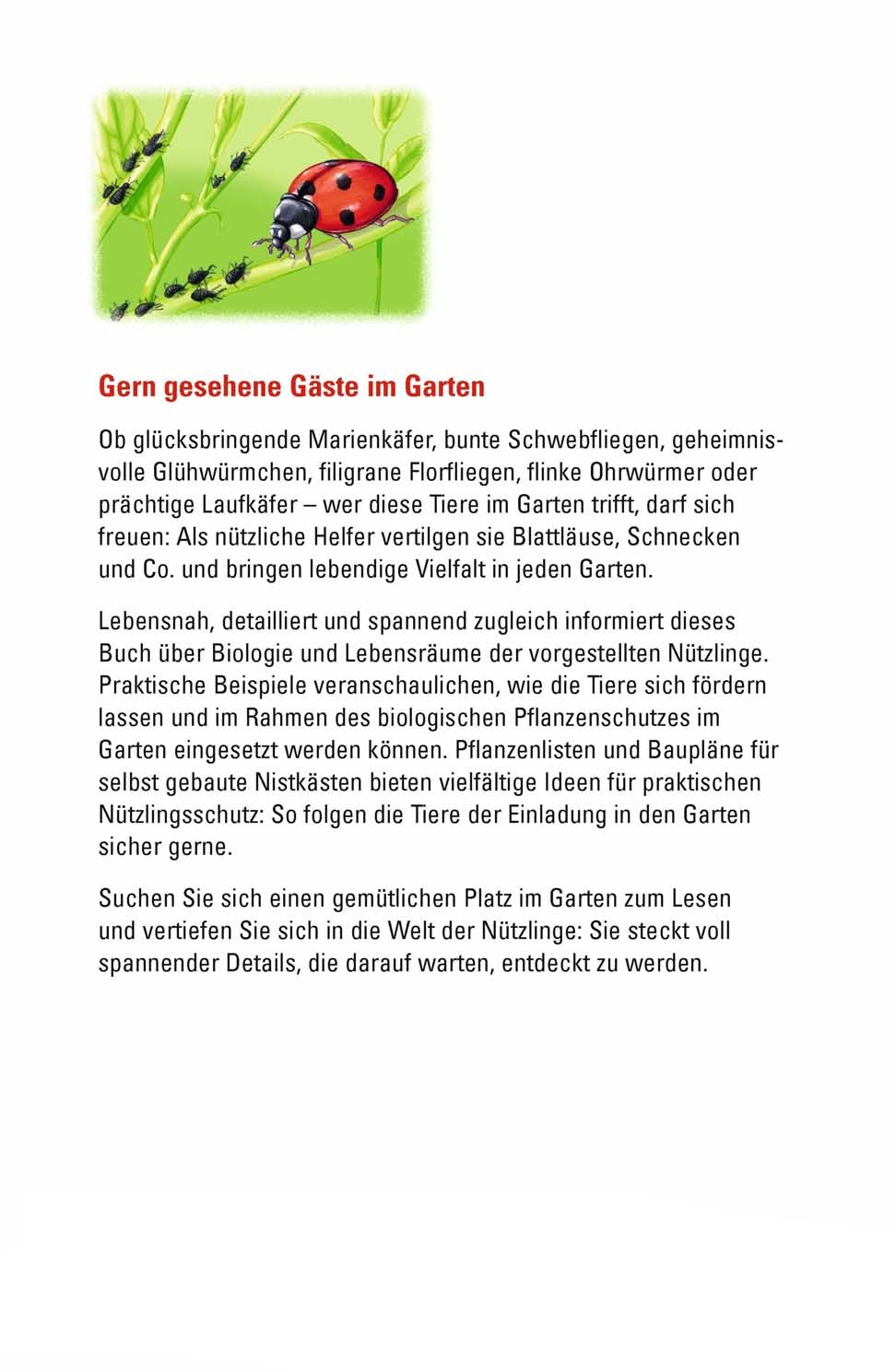 Rückseitencover Marienkäfer, Glühwürmchen, Florfliege & Co