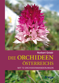 Vorderes Coverbild Die Orchideen Österreichs