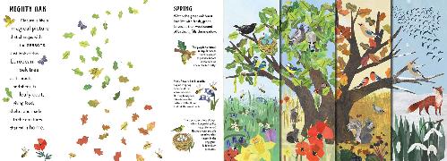 Beispielinhalt (Bild) Seasons