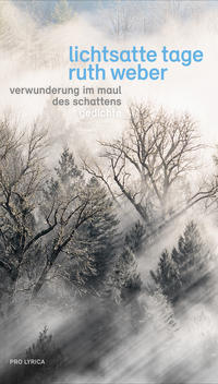 Vorderes Coverbild Lichtsatte Tage – Verwunderung im Maul des Schattens