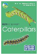 Vorderes Coverbild RSPB ID Spotlight - Caterpillars