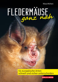 Vorderes Coverbild Fledermäuse ganz nah