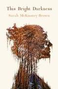 Vorderes Coverbild This Bright Darkness