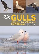 Vorderes Coverbild Gulls of Europe, North Africa, and the Middle East