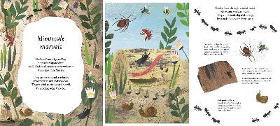 Beispielinhalt (Bild) A Walk Through Nature