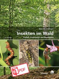 Vorderes Coverbild Insekten im Wald