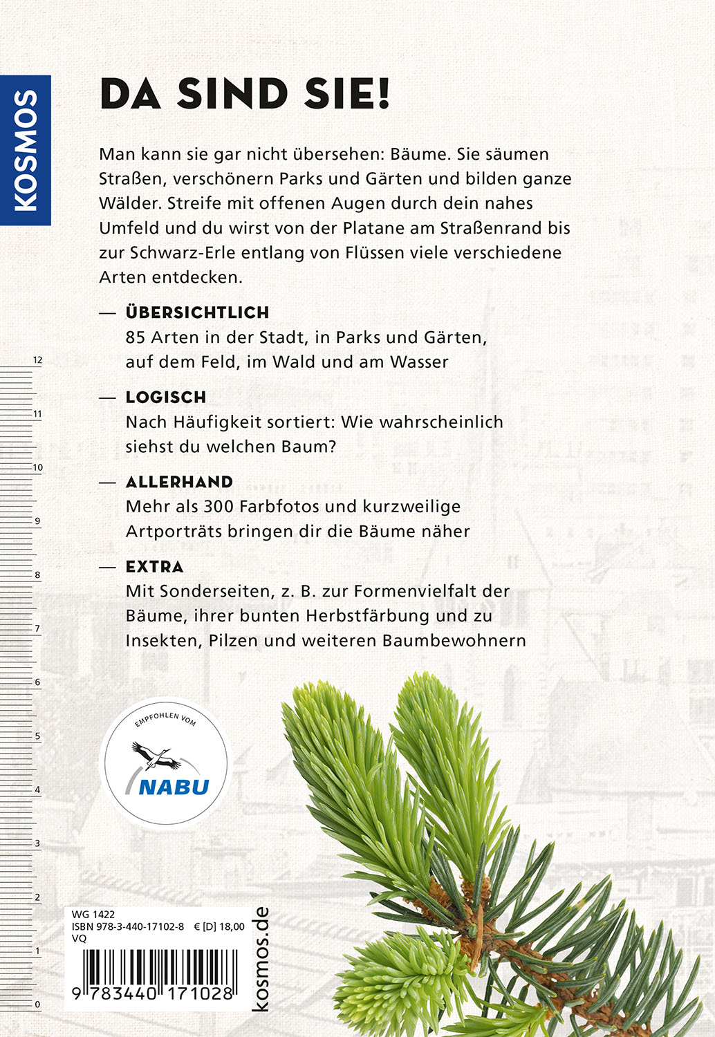 Rückseitencover Die siehst du! Bäume