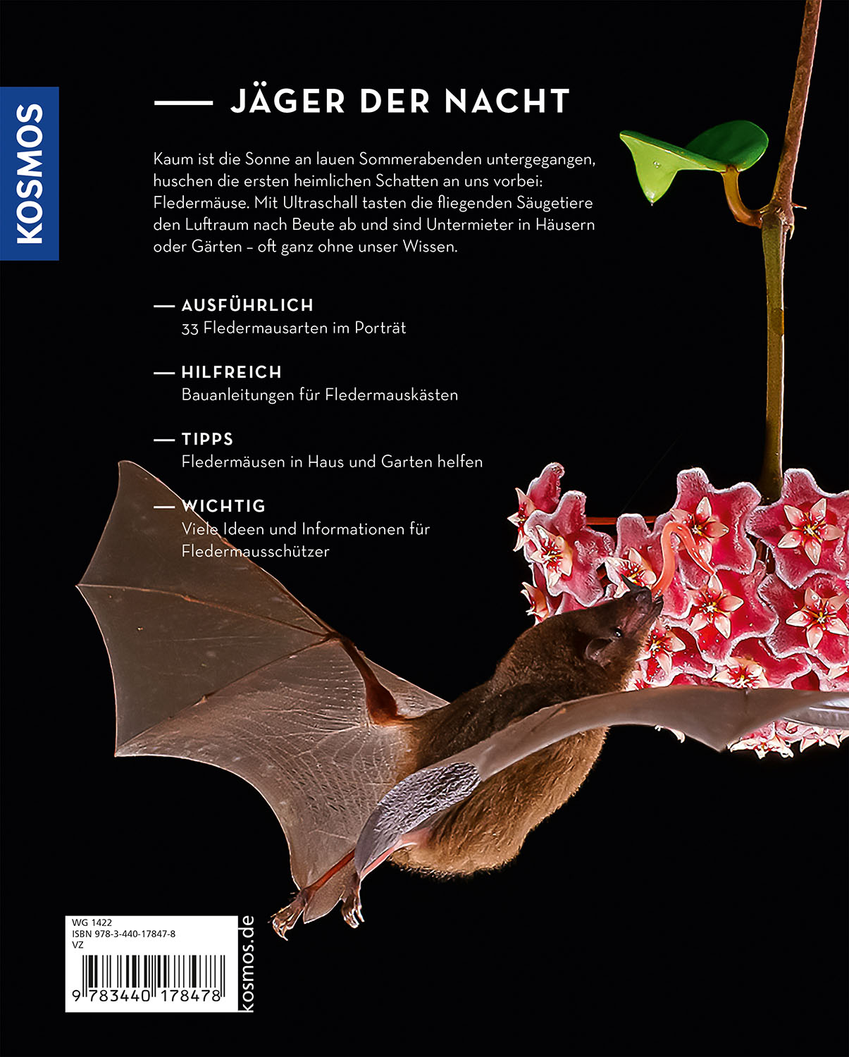 Rückseitencover Fledermäuse