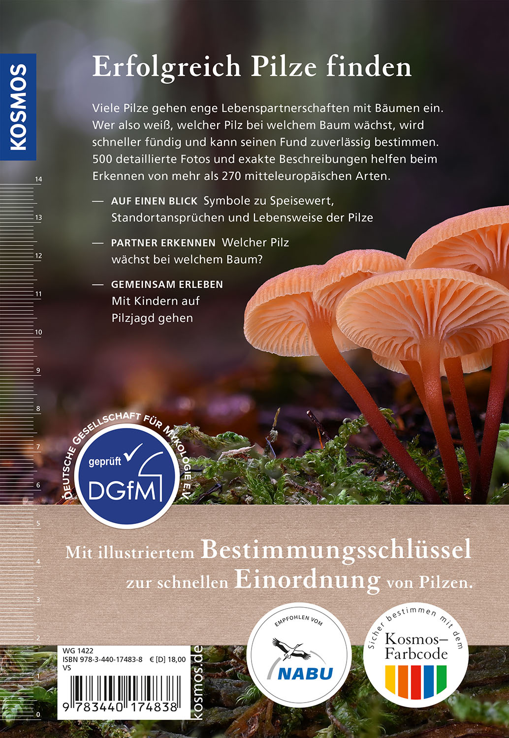 Rückseitencover Welcher Pilz ist das?
