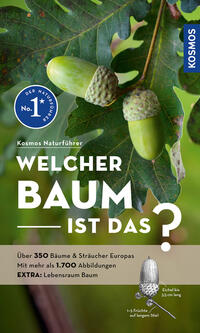 Vorderes Coverbild Welcher Baum ist das?