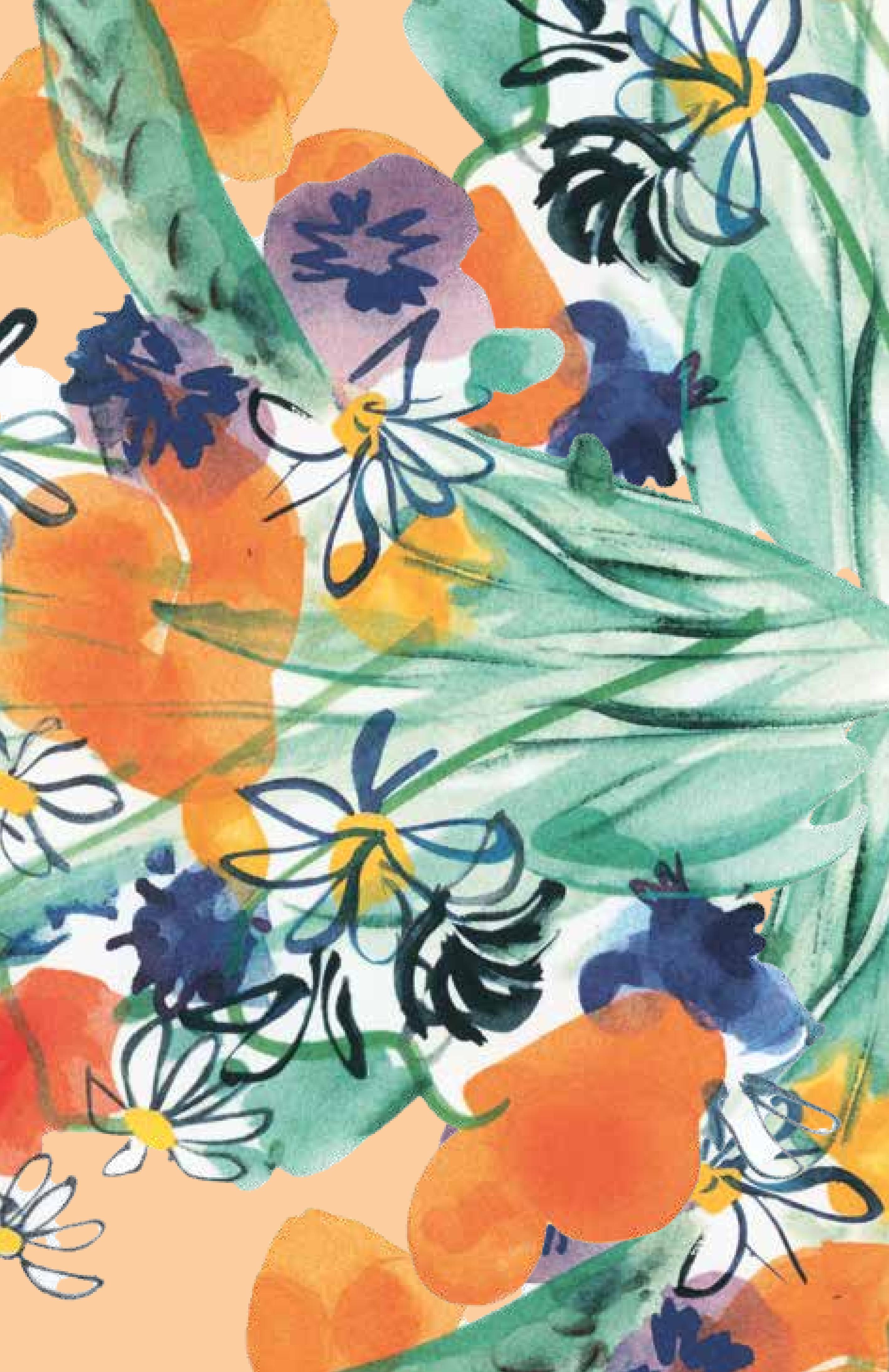 Rückseitencover Mein Blumenalbum