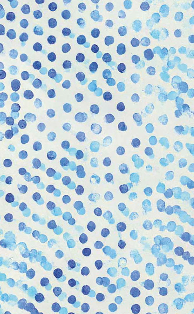 Rückseitencover Plan B