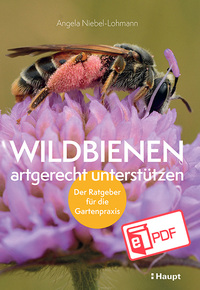 Vorderes Coverbild Wildbienen artgerecht unterstützen