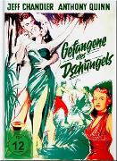 Vorderes Coverbild Gefangene des Dschungels