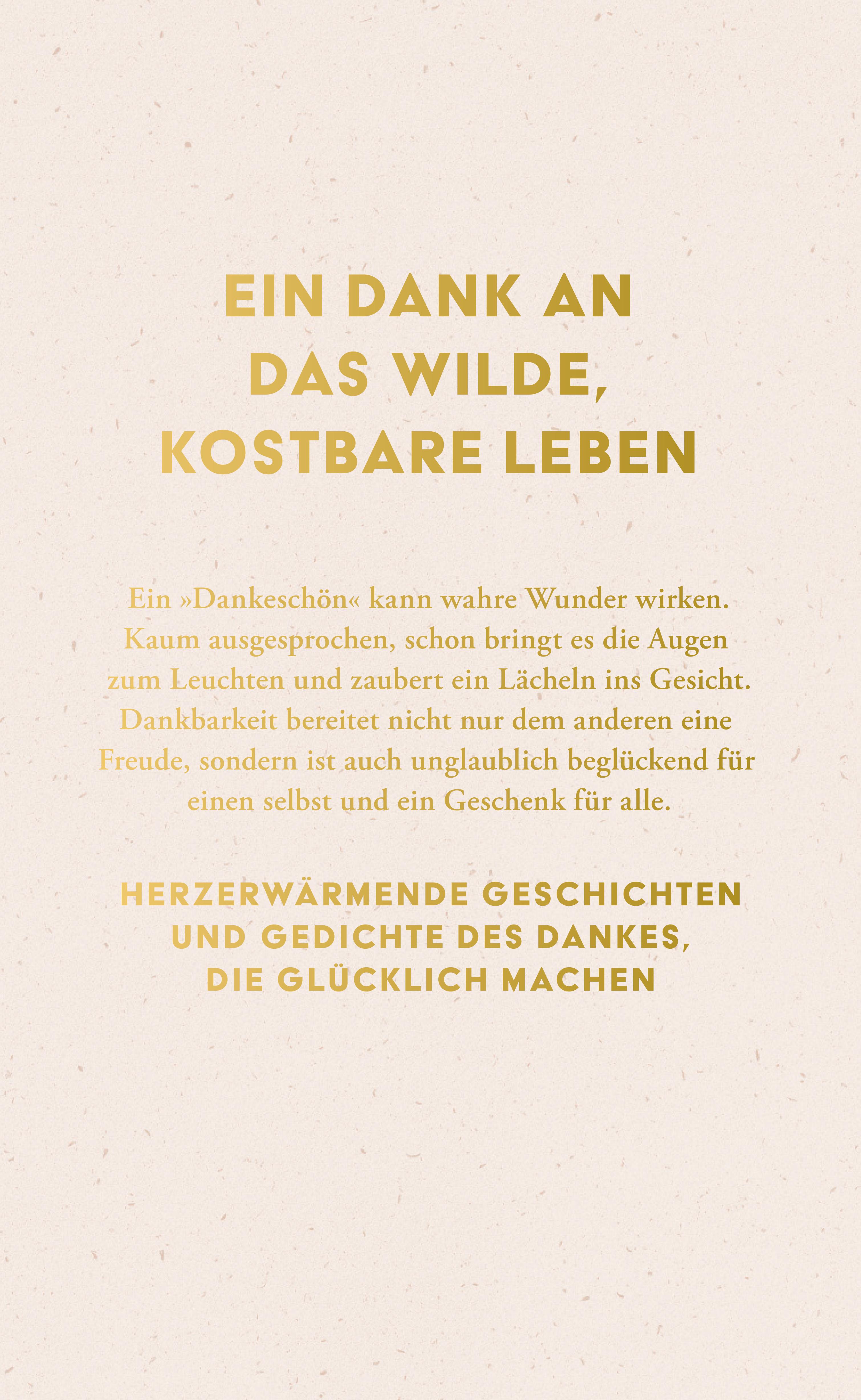 Rückseitencover Danke für alles!