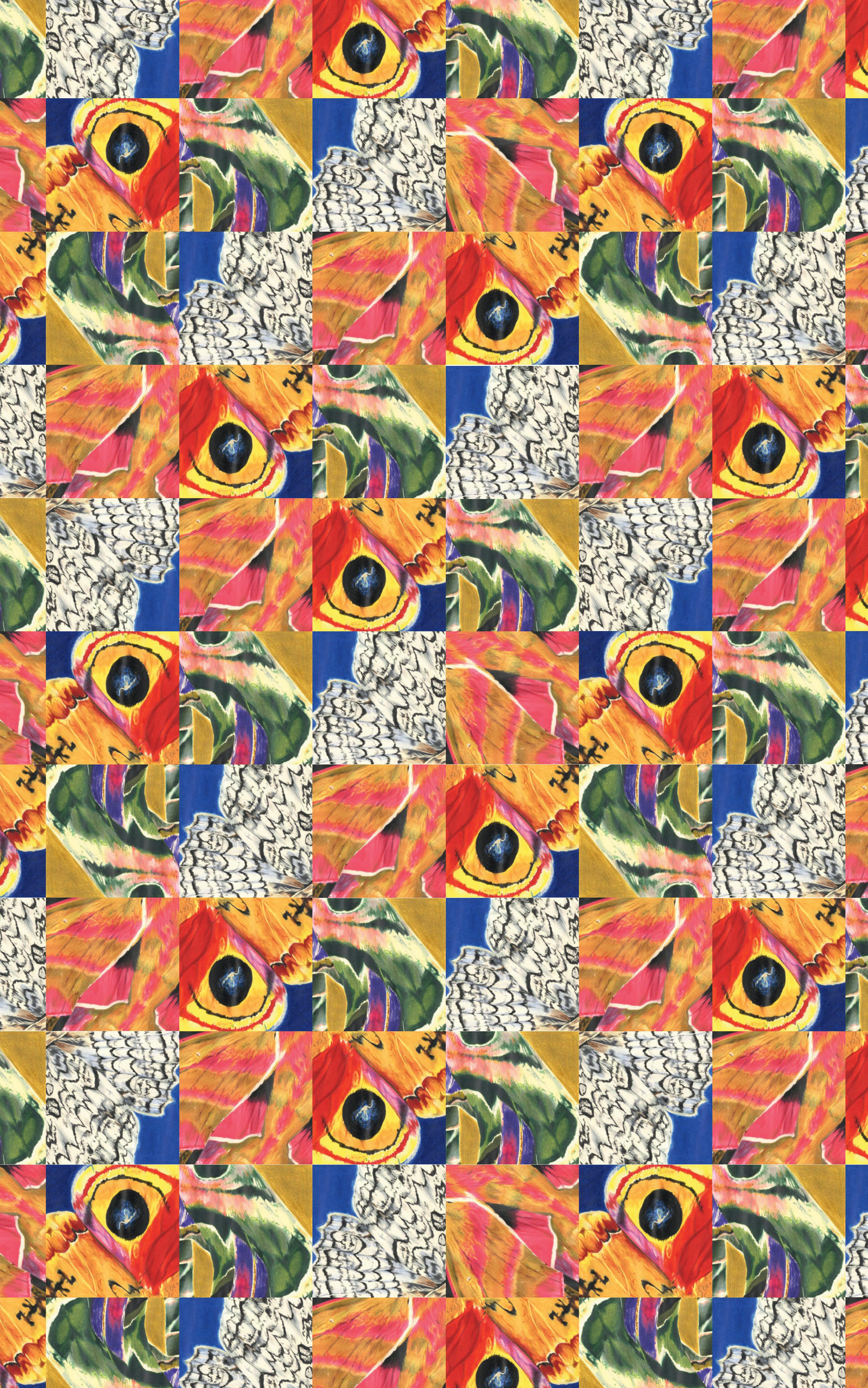 Rückseitencover Nachtfalter