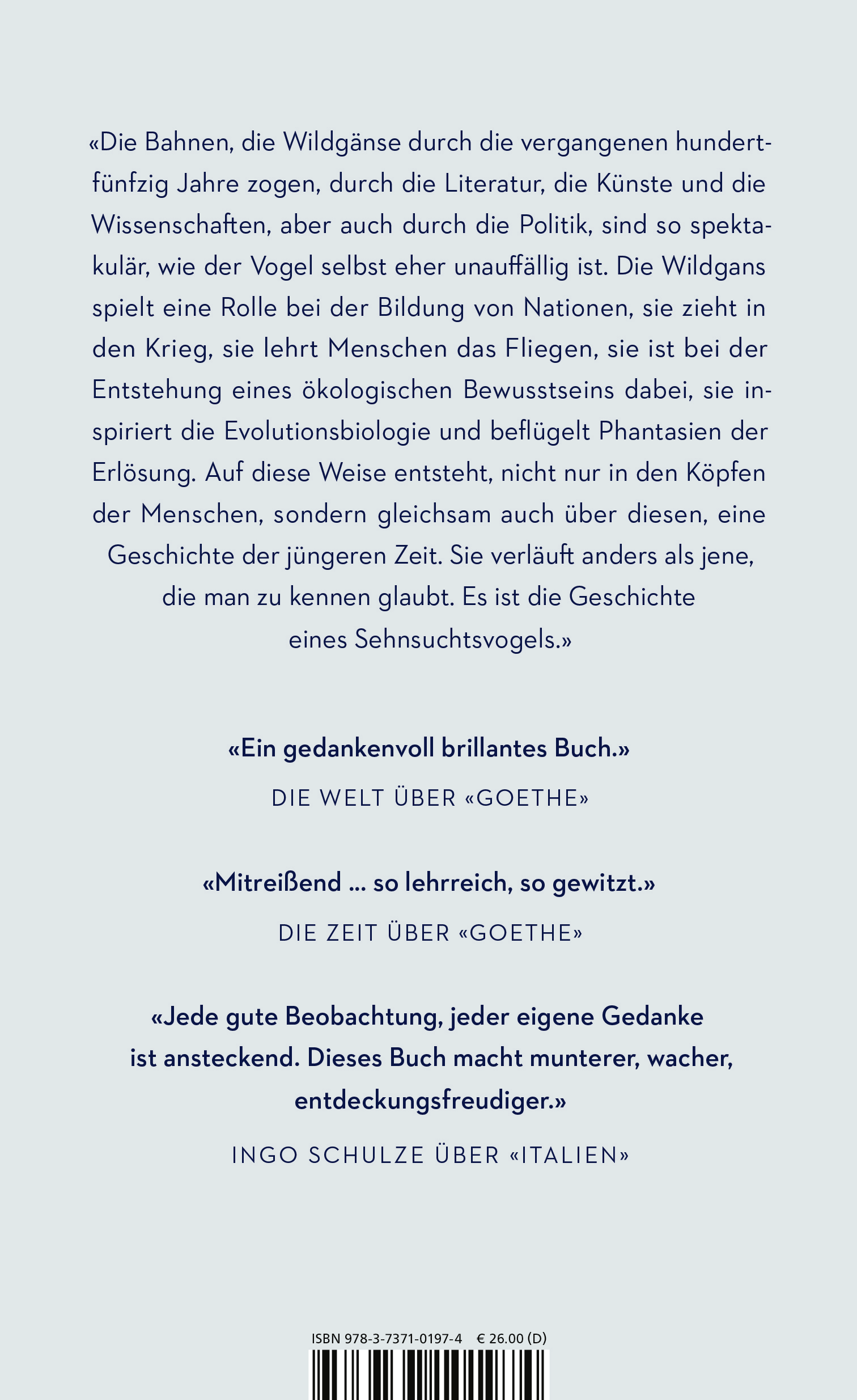 Rückseitencover Rauschen in der Nacht