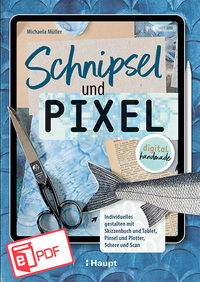 Vorderes Coverbild Schnipsel und Pixel