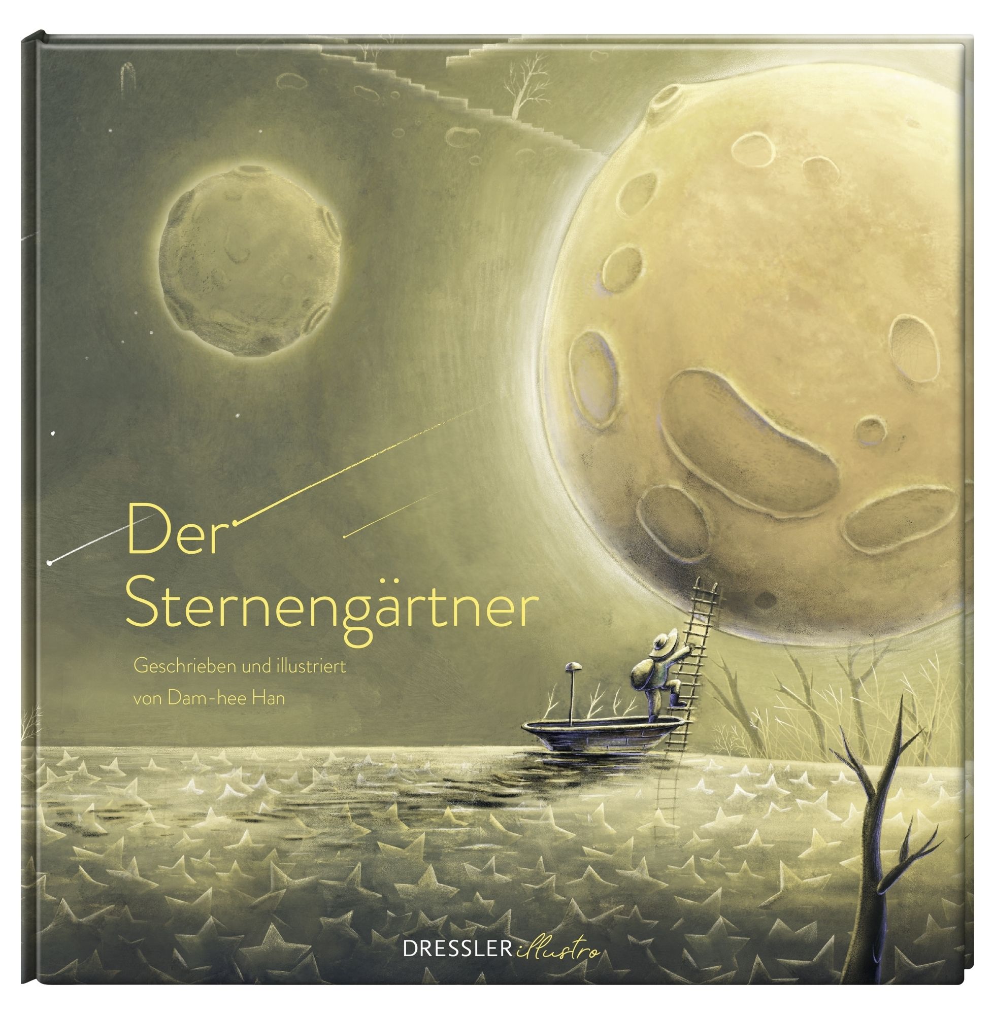 Gesamtes Coverbild Der Sternengärtner