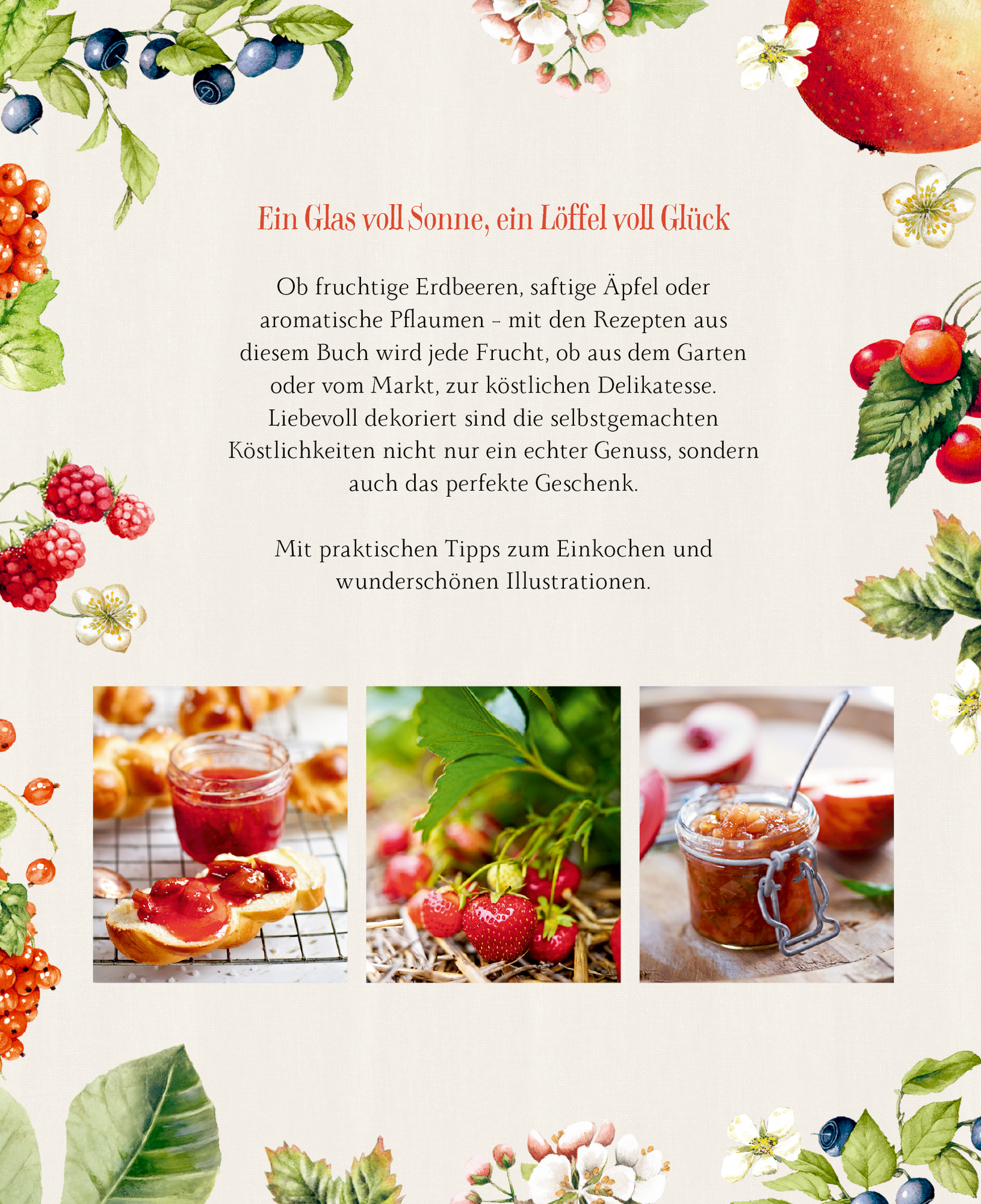 Rückseitencover Sonne im Glas