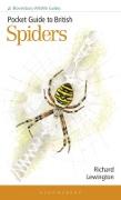 Vorderes Coverbild Pocket Guide to British Spiders