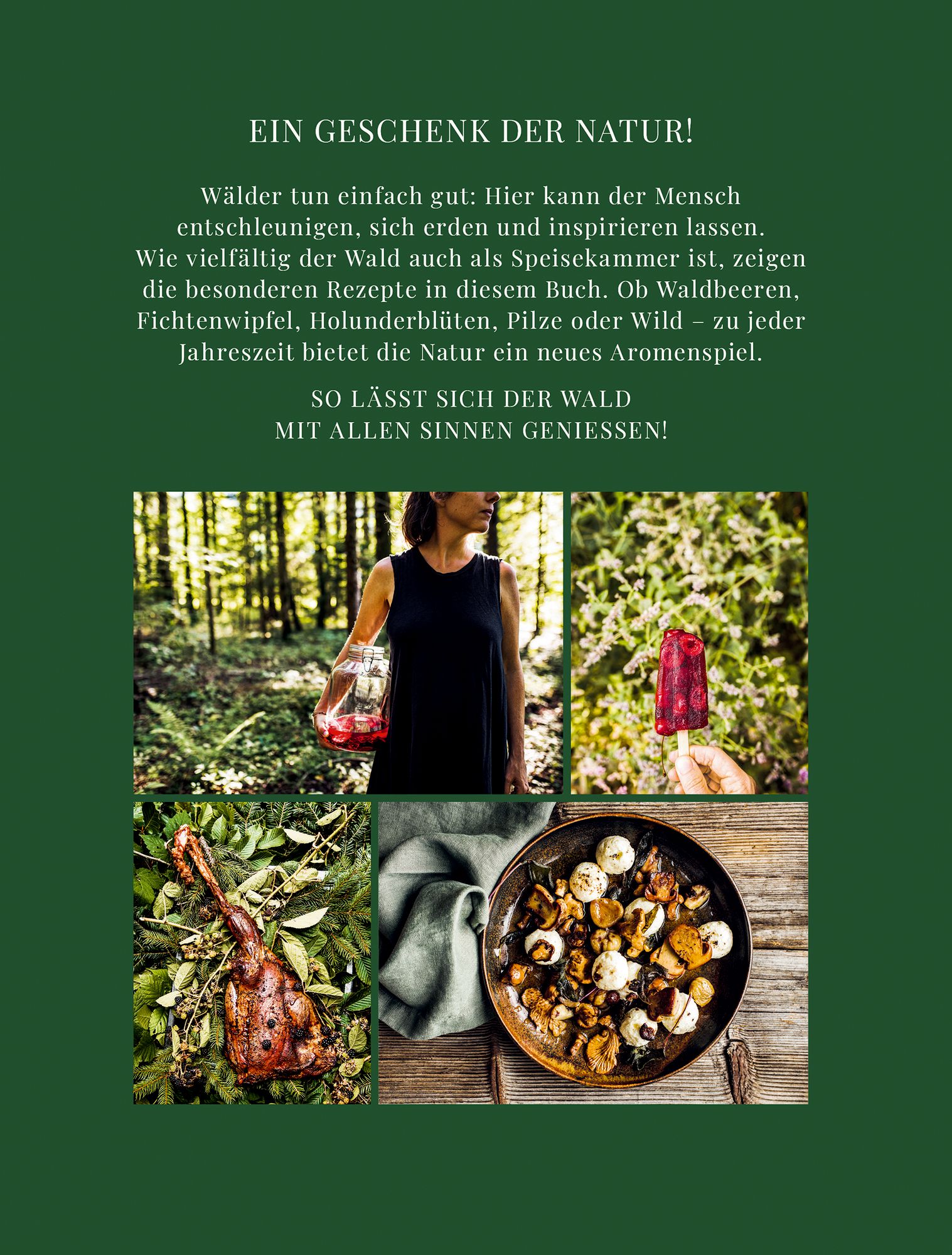 Rückseitencover Das Wald-Kochbuch