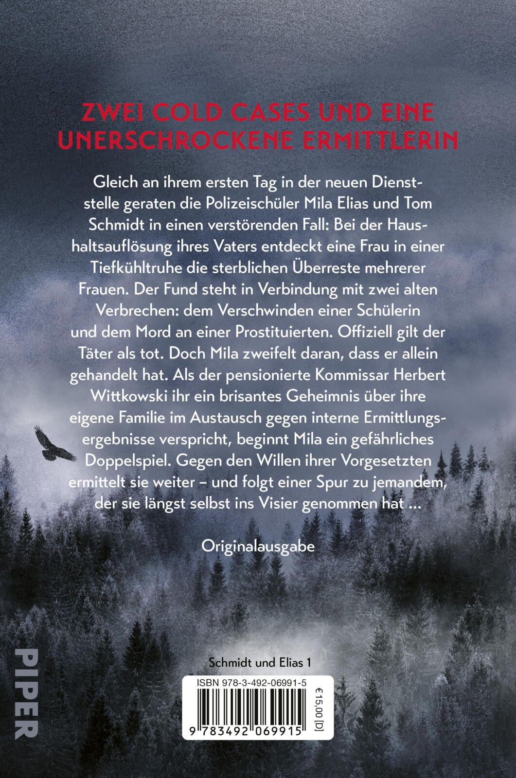 Rückseitencover Finsterland