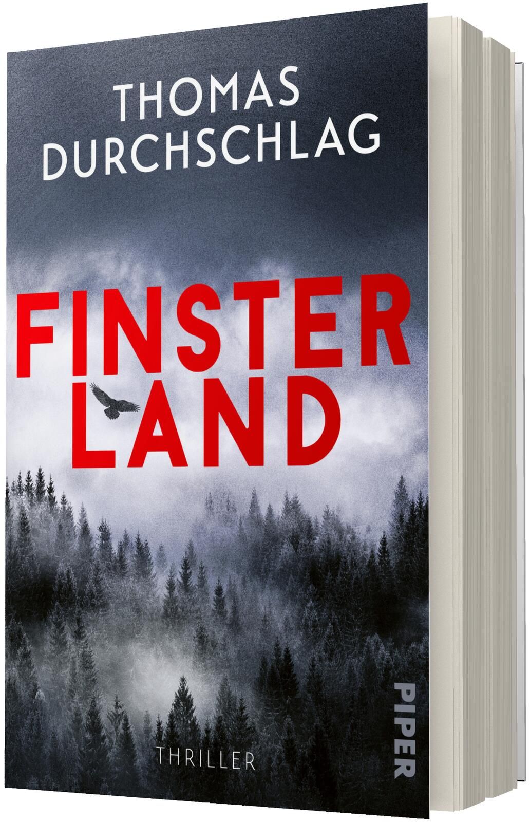 Gesamtes Coverbild Finsterland
