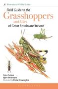 Vorderes Coverbild Field Guide to the Grasshoppers and Allies of Great Britain and Ireland