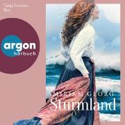 Vorderes Coverbild Sturmland