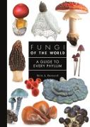 Vorderes Coverbild Fungi of the World