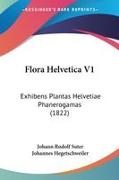 Vorderes Coverbild Flora Helvetica V1
