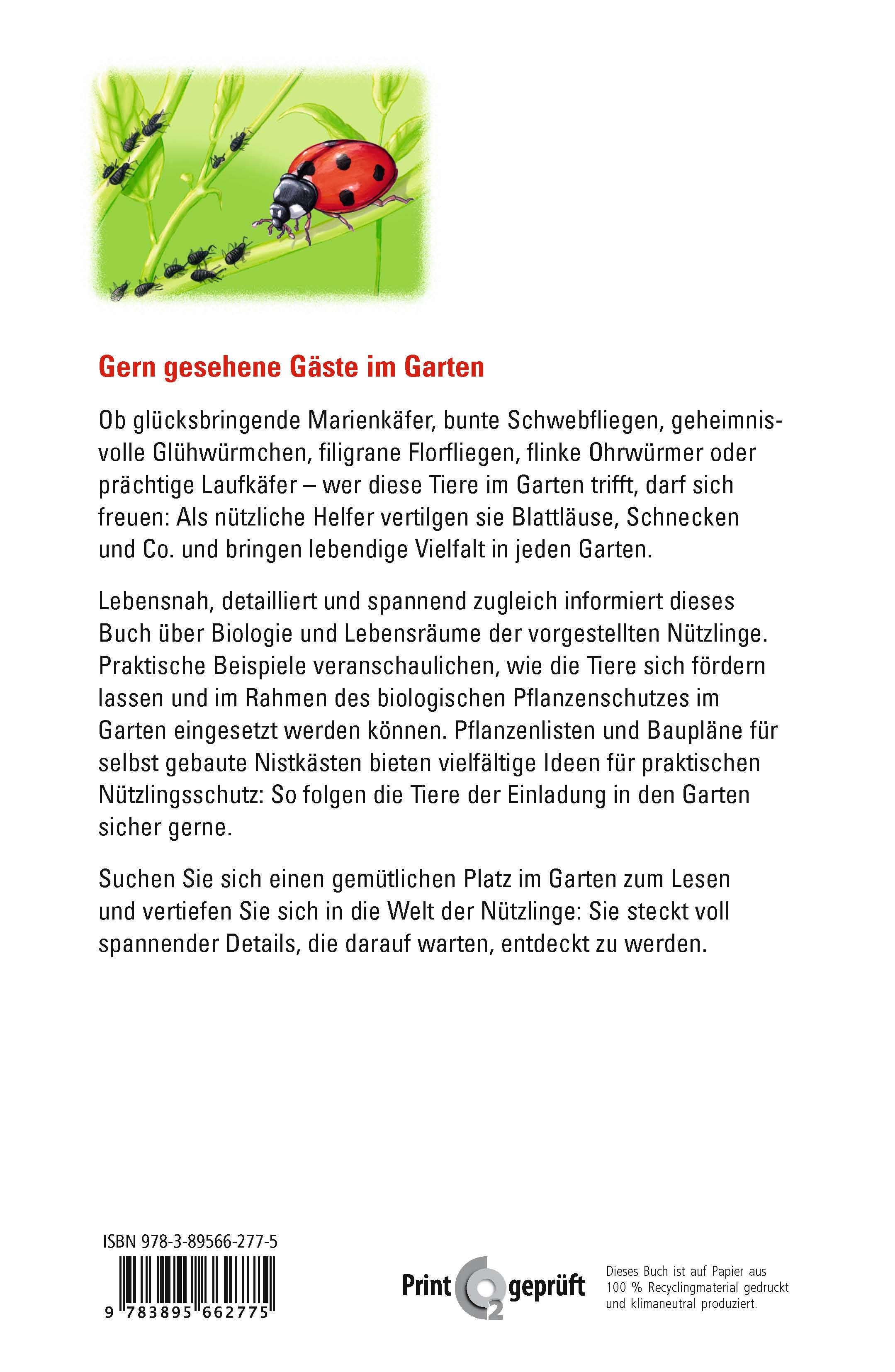 Rückseitencover Marienkäfer, Glühwürmchen, Florfliege & Co