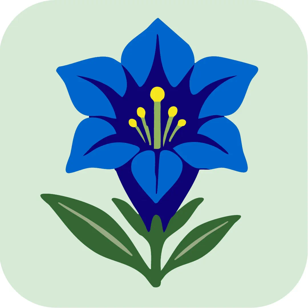 Vorderes Coverbild Flora Helvetica App-Abo (deutsch)