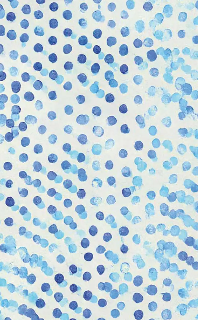 Rückseitencover Plan B