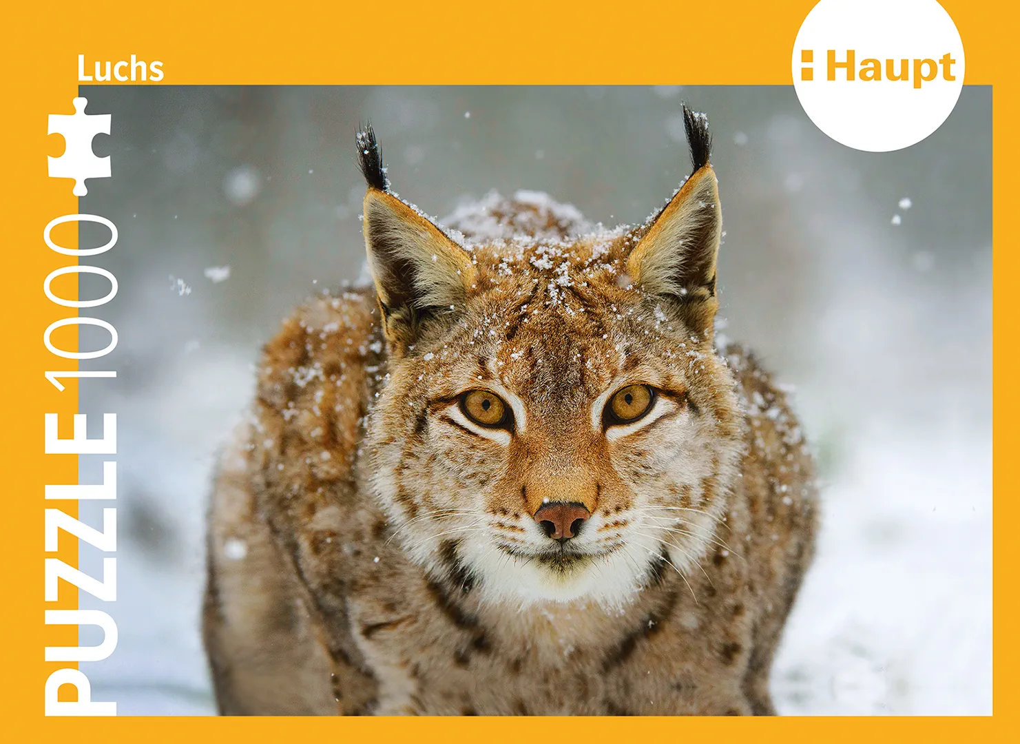 Vorderes Coverbild Luchs – Puzzle