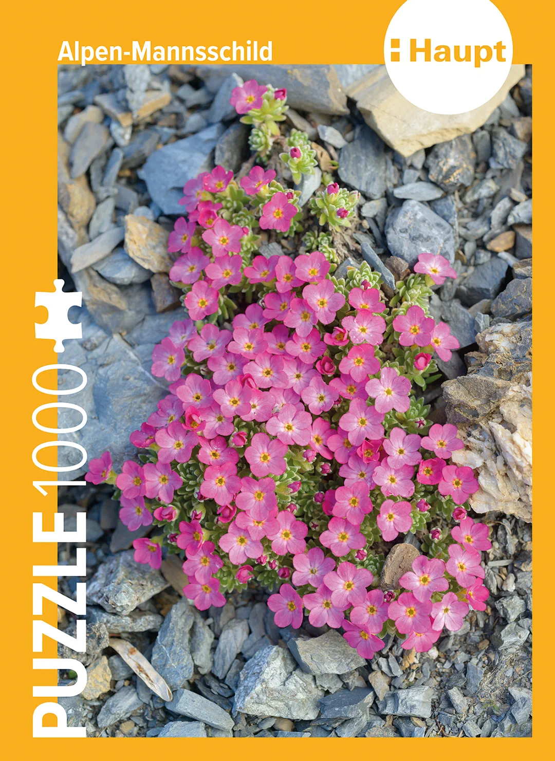 Vorderes Coverbild Alpen-Mannsschild – Puzzle