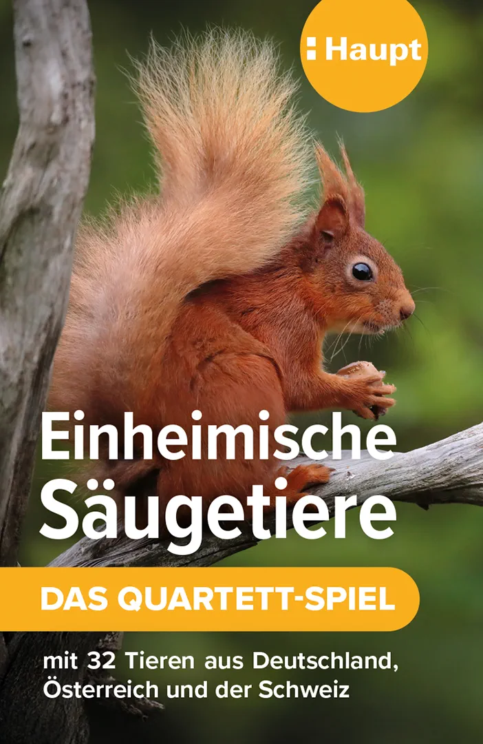 Vorderes Coverbild Einheimische Säugetiere – das Quartett-Spiel