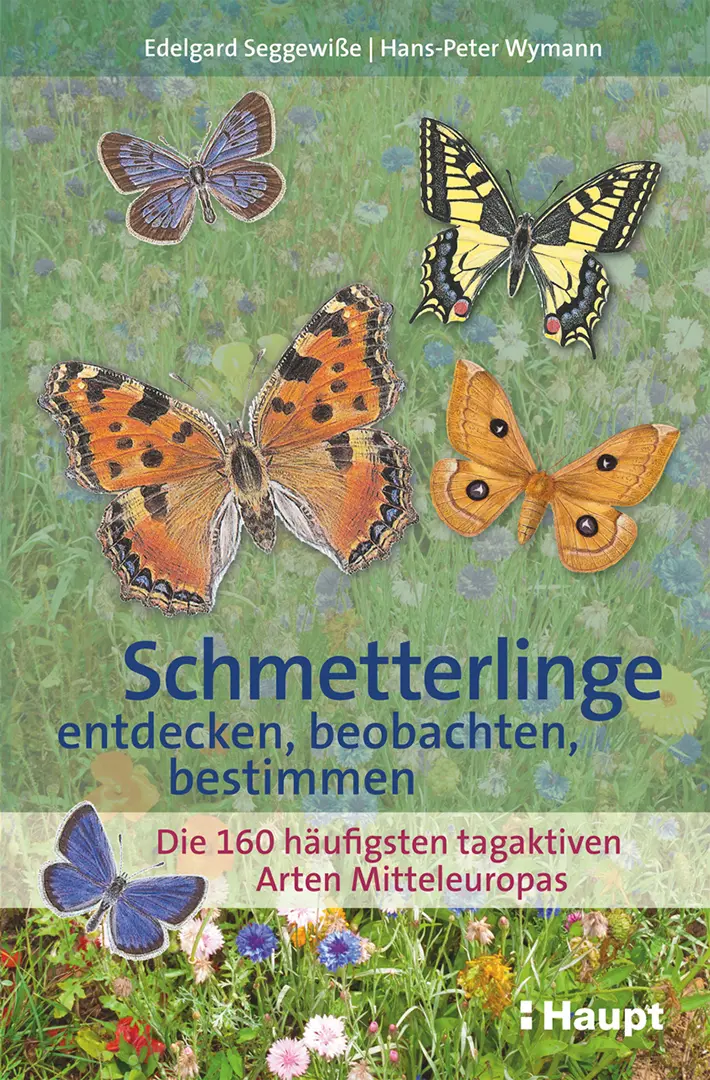 Vorderes Coverbild Schmetterlinge entdecken, beobachten, bestimmen