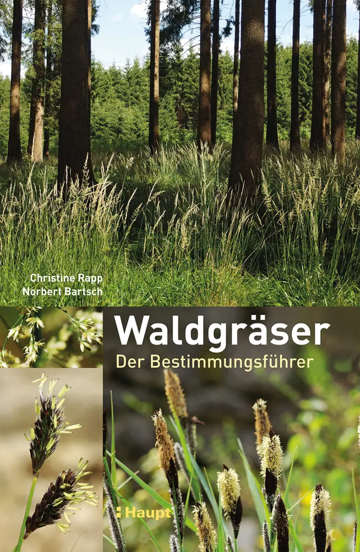Vorderes Coverbild Waldgräser
