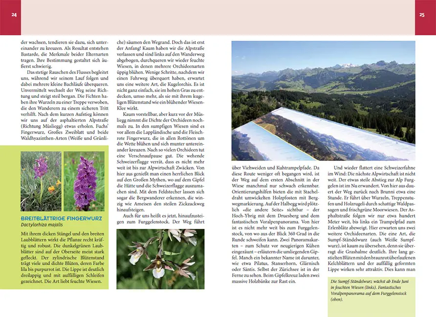 Beispielinhalt (Bild) Orchideenwanderungen