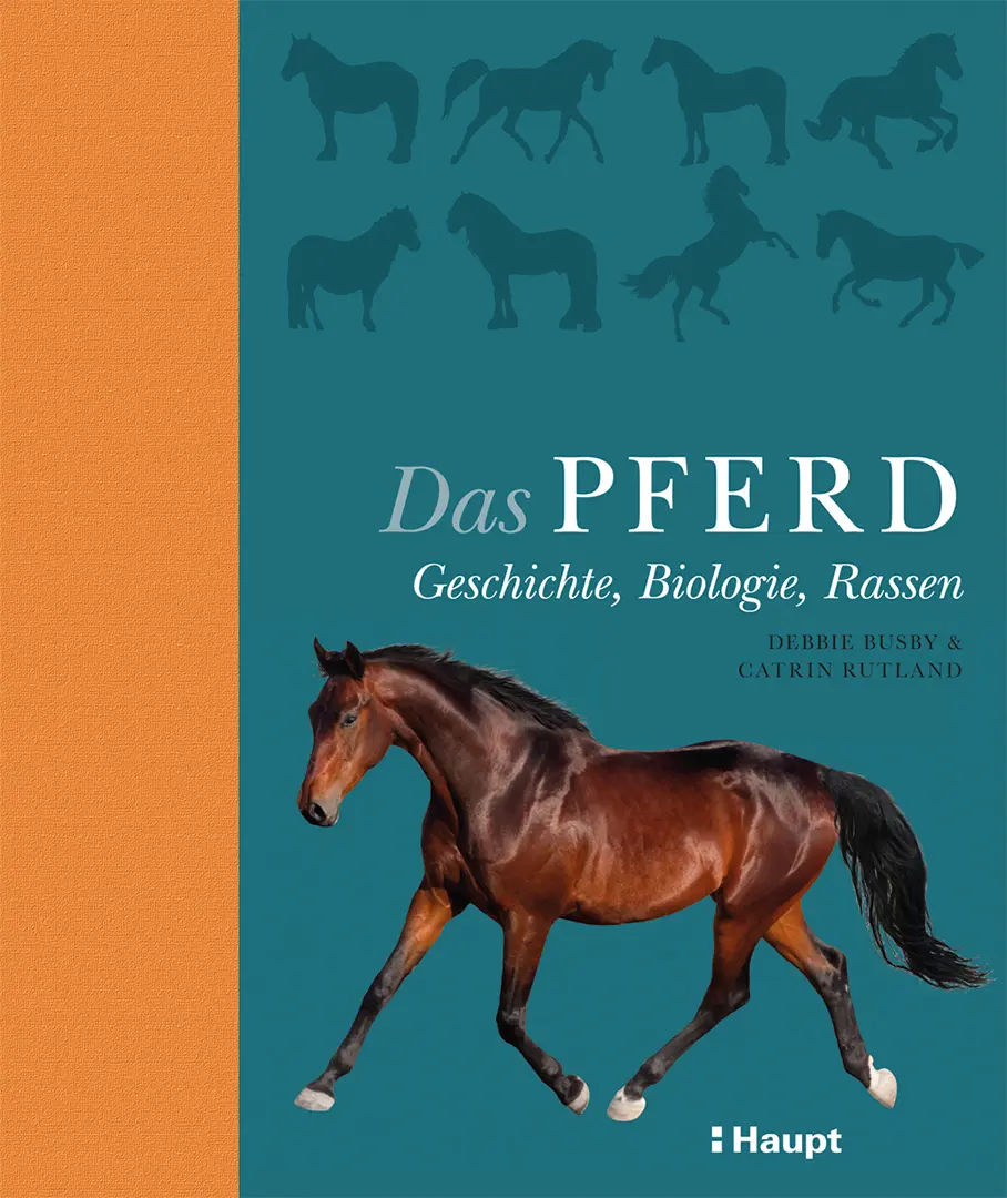 Vorderes Coverbild Das Pferd