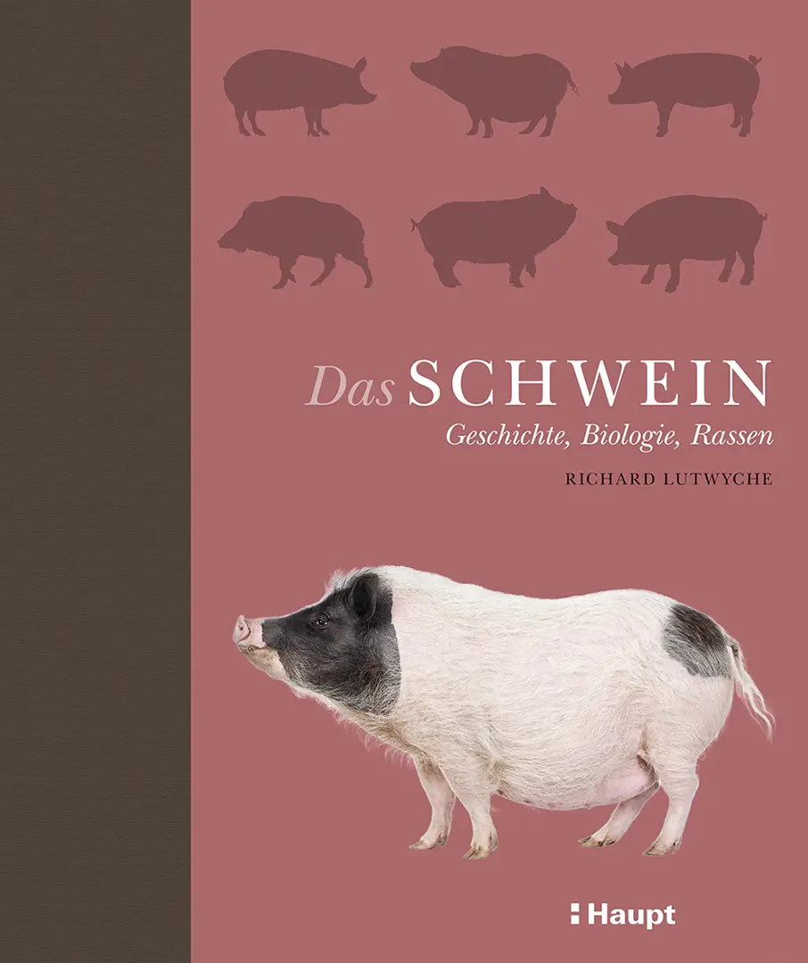 Vorderes Coverbild Das Schwein