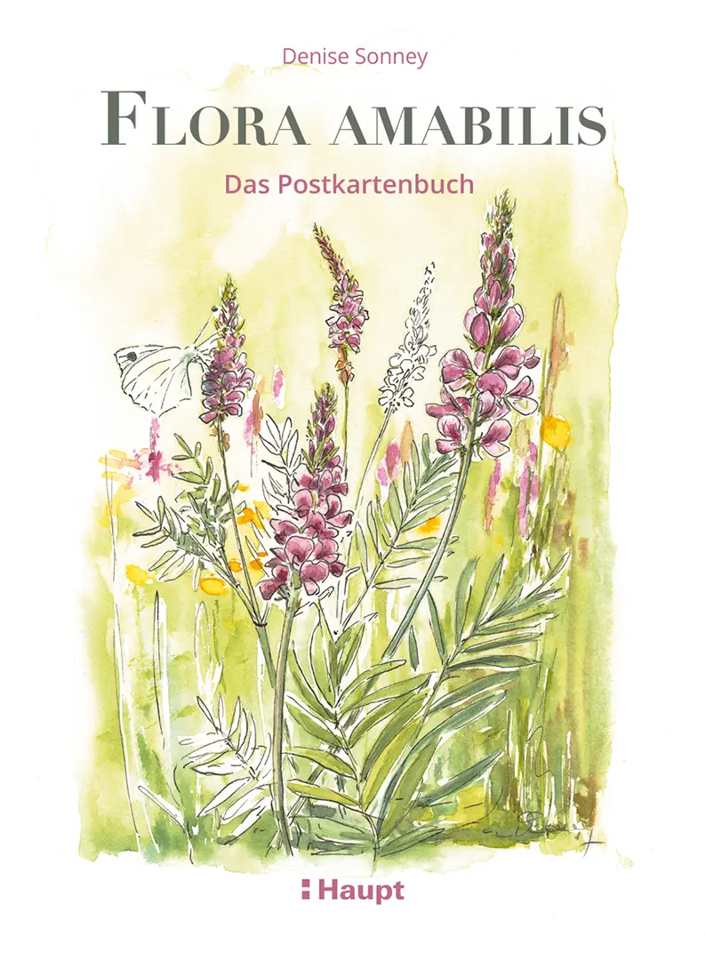 Vorderes Coverbild Flora amabilis - Das Postkartenbuch